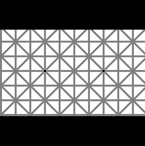 Тази снимка обърка хората: Колко точки виждате Вие?