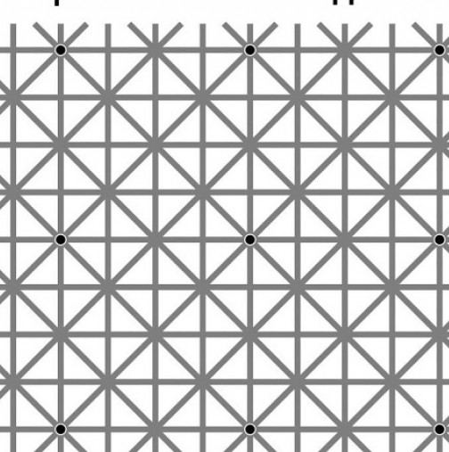 Внимателно погледнете тази снимка: Колко черни точки виждате?