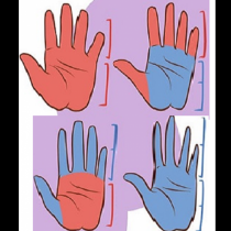 Формата на дланта казва много: Хората с големи длани и къси пръсти са като огън, хората с дълги пръсти имат комуникативни умения