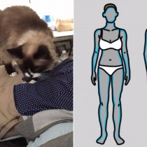 Ето какво се случва с тялото ви всеки път, когато котка легне върху корема ви и започне да мърка