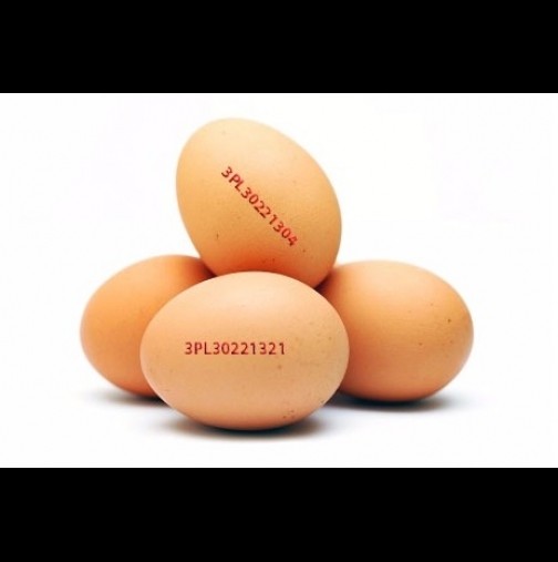 БАБХ предупреждава: Заразени яйца със салмонела! Трябва да ги върнете в магазина. Вижте какъв е печата на тях