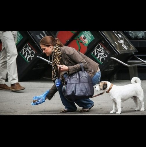 Просто обикновена жена, която чисти след кучето си? Няма да повярвате коя е всъщност! На това му се казва пример!