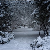Синоптик от НИМХ разкри, дали ще има сняг за Коледа
