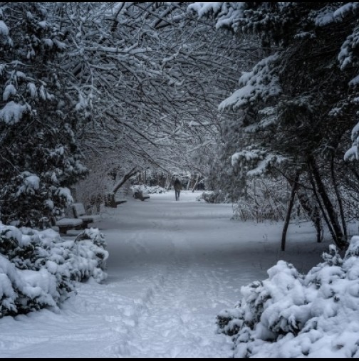 Синоптик от НИМХ разкри, дали ще има сняг за Коледа