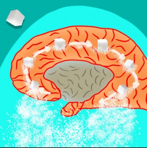 Ето какво прави захарта на мозъка, костите и вътрешните органи