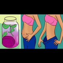 Не се мъчете с диети, а поставете това във вода и го пийте всеки ден! Тялото Ви ще се пречисти и килограмите бавно ще се стопят!