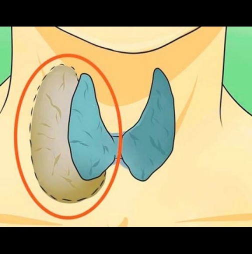 Лекарите крият това от вас: Научете как да лекувате проблеми с щитовидната жлеза напълно естествено!
