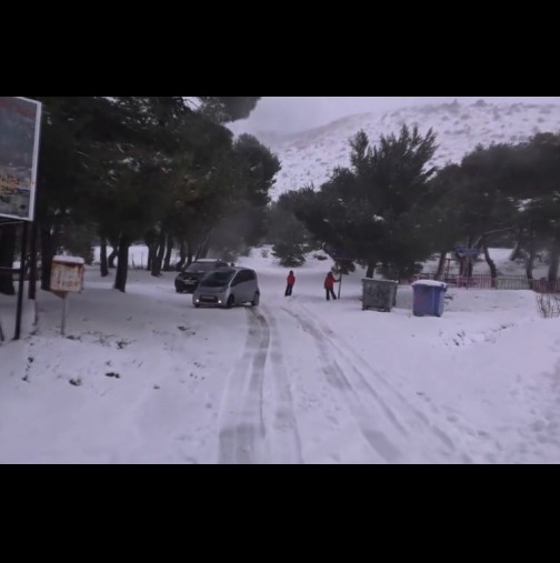 Гръцката столица Атина побеля! Температурите драстично ще падат, а снегът ще продължи да вали (Видео)
