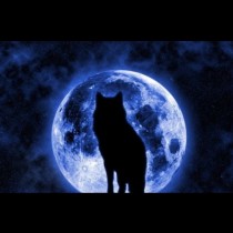 Довечера наблюдаваме Вълча луна: Време е да се изправим пред страховете, грешките и слабостите си!
