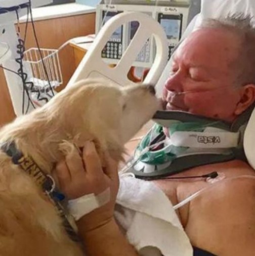 Куче спаси живота на стопанина си като лежа 24 часа върху него и го предпази от измръзване