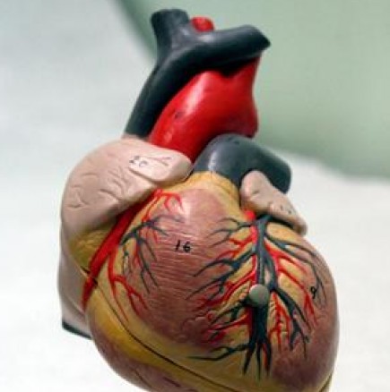 Защо сърдечните пристъпи стават най-често сутрин