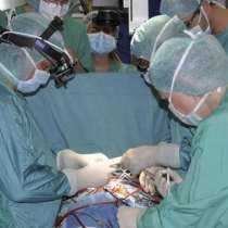 Нов шанс за трансплантации на бъбреци!