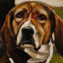 Художник ще рисува портрети на 5500 кучета, преди да бъдат умъртвени