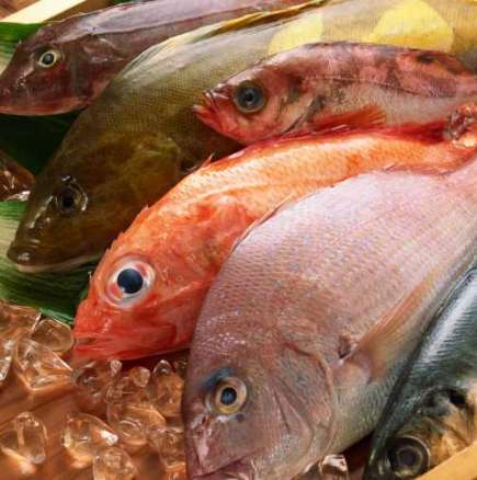 Тайни за приготвянето на вкусна риба за Никулден