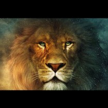 10 причини зодия Лъв да е най-добрият Ви приятел и най-лошият враг