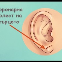 Ушите ви могат да покажат, каква болест ви застрашава и какви здравословни проблеми имате-Ето как да разпознавате
