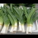 Ще го ядете като луди след това-Толкова е полезен, а като бонус, зелените части са по-полезни от белите