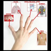 Всеки един от вашите пръсти е свързан с 2 ваши органа и може да бъде излекуван само за 3 минути