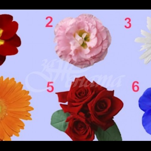 Тест 1 минута! Просто изберете едно цвете и проверете тайната на вашата женственост