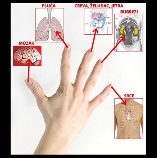 Всеки един от вашите пръсти е свързан с 2 ваши органа и може да бъде излекуван само за 3 минути