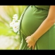 Съвършена машина: Как се преместват органите на жената по време на бременността