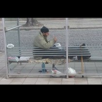 Той се опита да помогне с пари на този бездомник, но се случи нещо, от което остана като попарен