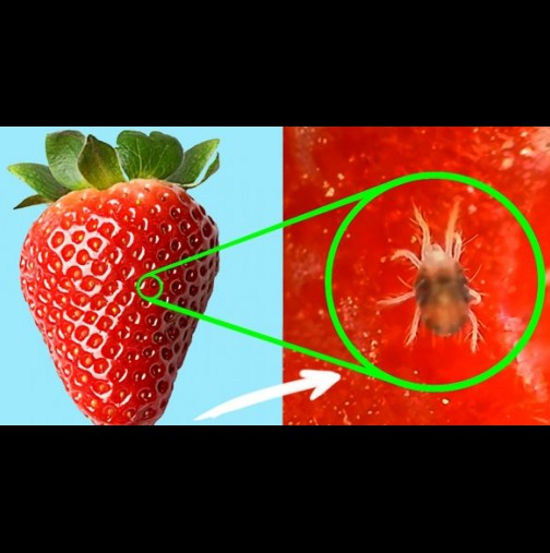 Всички любители на ягодите трябва да са наясно с тези опасности, които крие сладкия плод