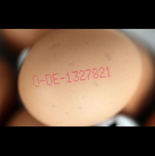 Какво значат кодовете на яйцата, винаги съм се чудела, чак сега разбрах! И как да разберем колко време е годността на яйцата?