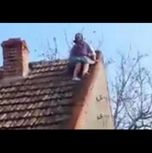 Баба Вера се превърна в хит-Ето я, какво прави на покрива