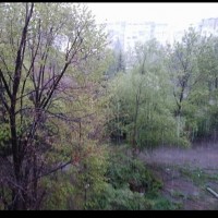 Снеговалеж в София