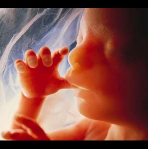 За първи път в историята на медицината- бебе преживя аборт!