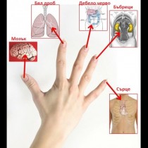 Погледнете дланта си и предотвратете болестта навреме
