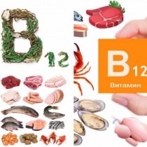 Източници на витамин В12 за вегетарианци и невегетарианци-Препоръчителната дневна доза 