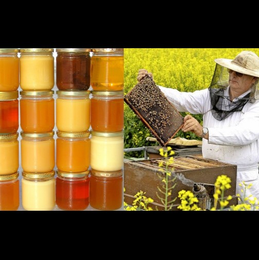 Всеки мед е сладък, но не всеки е полезен! Тайните от кухнята разкрива пчелар с 30-годишен стаж: