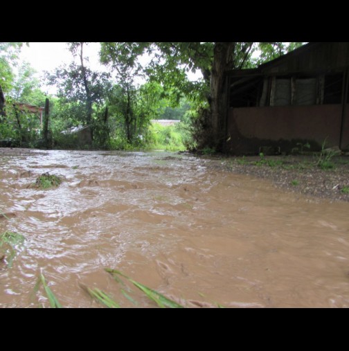 Пороен дъжд и придошла вълна удавиха къщи и градини в Русе!