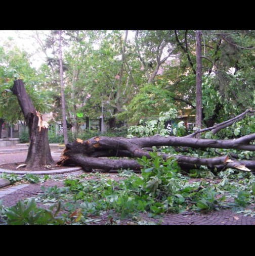 Ето какво е положението след бурята в София!