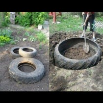 Първо изкопа дупките, а после дотъркаля стари гуми: съседката пак е намислила нещо! Сън не ме хвана, а на другия ден ахнах от изненада: