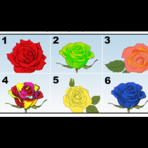 Изберете си розата, която най-много Ви харесва и открийте най-дълбоките тайни на личността си!
