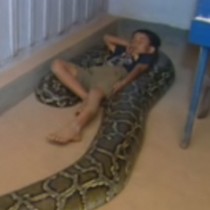 Като бебе спеше с змията, а сега 11 години по-късно се случи това