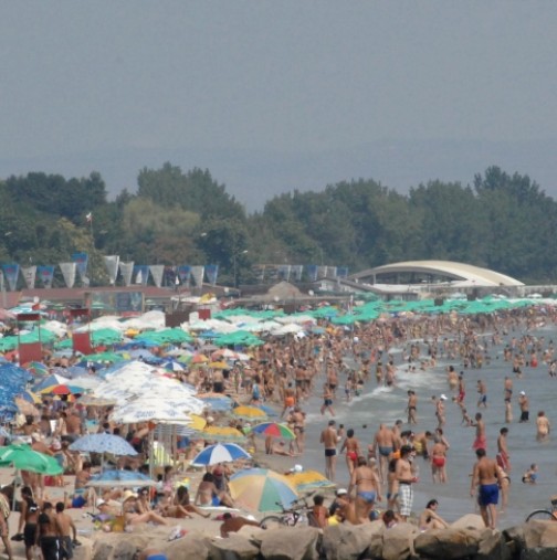 Български курорт нападнат от бълхи, чак потрепервам, като си помисля