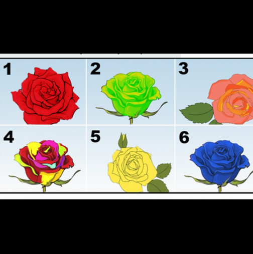 Изберете си розата, която най-много Ви харесва и открийте най-дълбоките тайни на личността си!