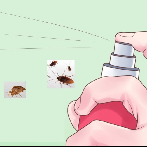 Напръскайте във вашия дом и ще се спасите на мига от комари, хлебарки и мухи!  