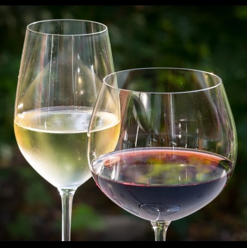 За всички любители на виното! 7 неща, които трябва да знаете преди да консумирате любимата си напитка