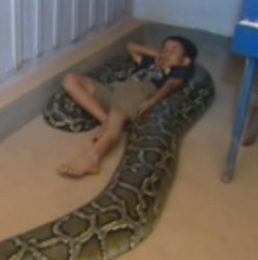 Като бебе спеше с змията, а сега 11 години по-късно се случи това