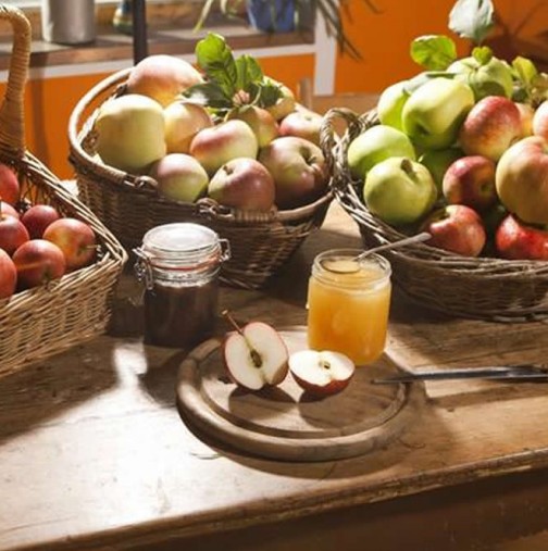 Магически дни на август: Дните, в които трябва да ядем мед и ябълки, ще бъдат щастливи! Къде да поставим босилек, за да привлечем пари!
