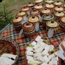 Учени от Германия и България твърдят, че българско сирене и мляко от Родопите пазят от най-коварни болести