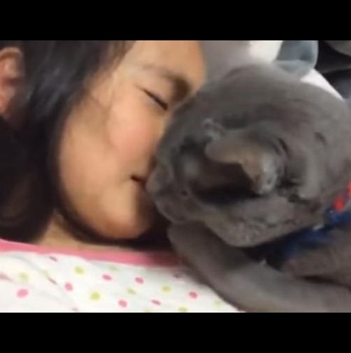 Видео, което ще разтопи и най-коравото сърце: Котка утешава разплакано момиченце и с това доказа едно много важно нещо!