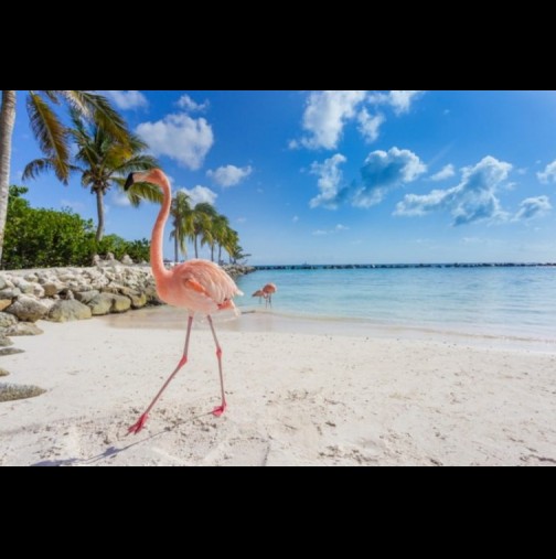 Рай на Земята: Влизането на този плаж струва 100 долара, но когато видите защо, ще се удивите! (Снимки)