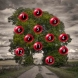 Дърво на желанията: Изберете плод и вижте дали ще ви се сбъдне