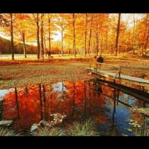 6 красиви места, които трябва да се посетят през есента